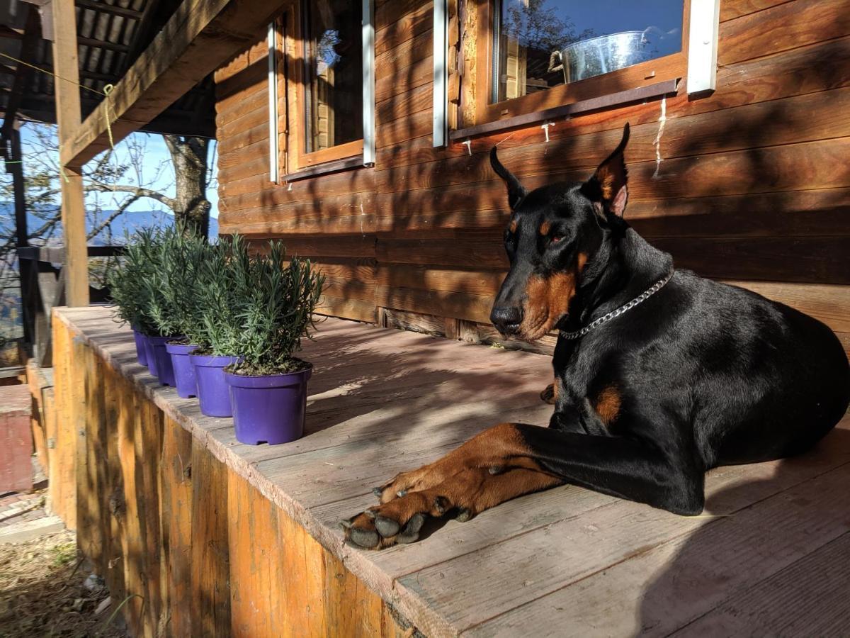 Lavender Valley Villa Perekrestnoye Eksteriør bilde