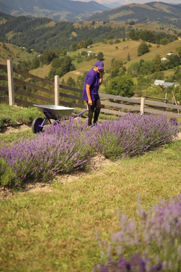 Lavender Valley Villa Perekrestnoye Eksteriør bilde