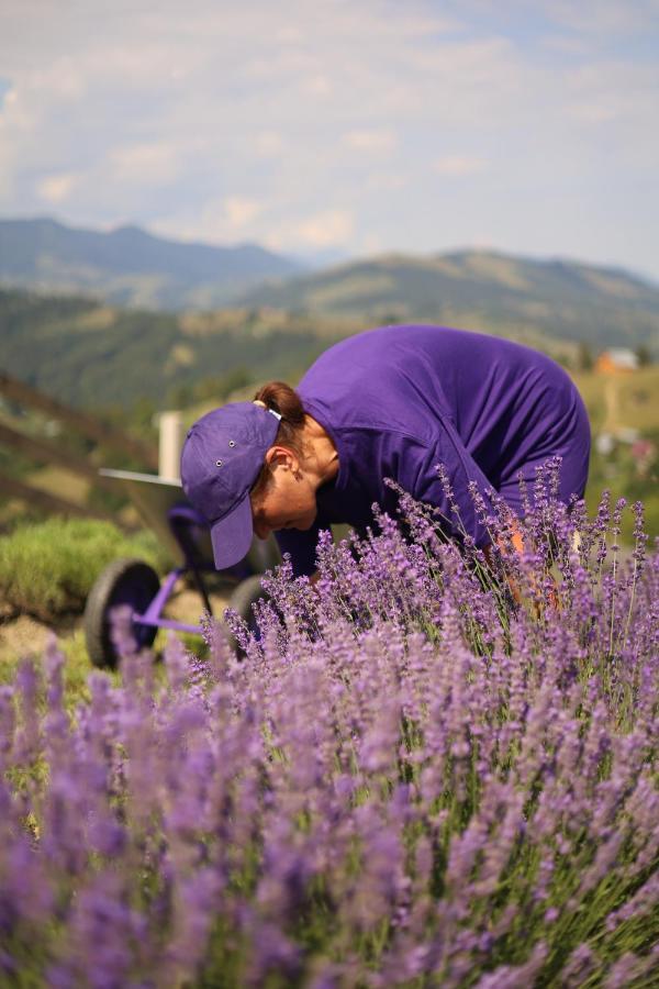 Lavender Valley Villa Perekrestnoye Eksteriør bilde