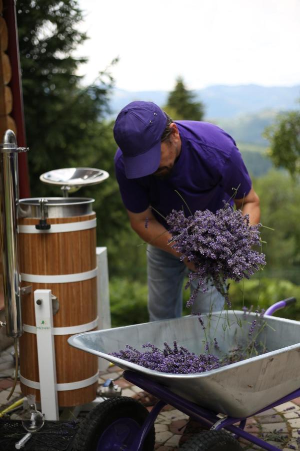 Lavender Valley Villa Perekrestnoye Eksteriør bilde