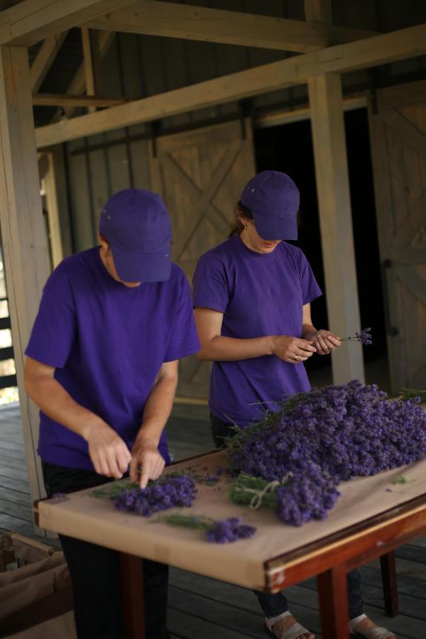 Lavender Valley Villa Perekrestnoye Eksteriør bilde