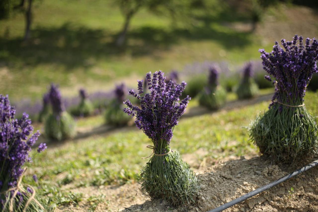 Lavender Valley Villa Perekrestnoye Eksteriør bilde